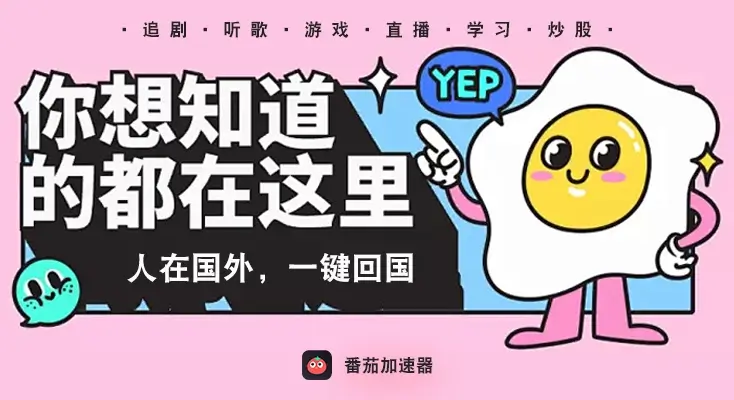 ChickCN和海龟哪个好使用方法