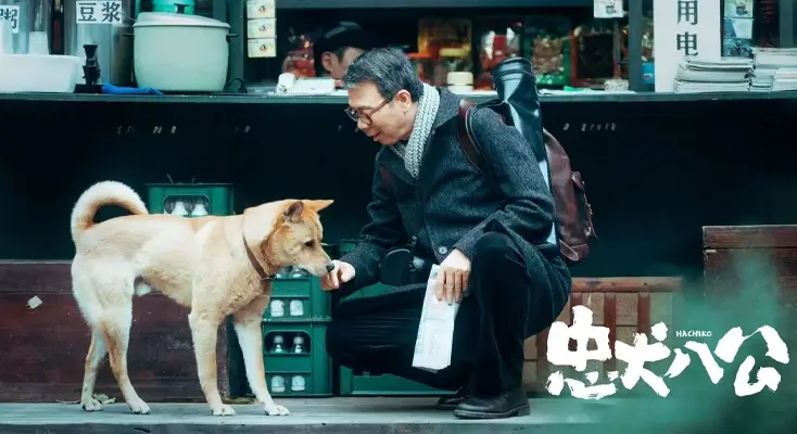 在海外用什么软件看中国电视